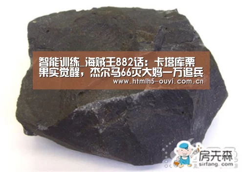  运动数据分析